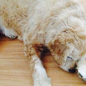 Meet your Posher, Terri